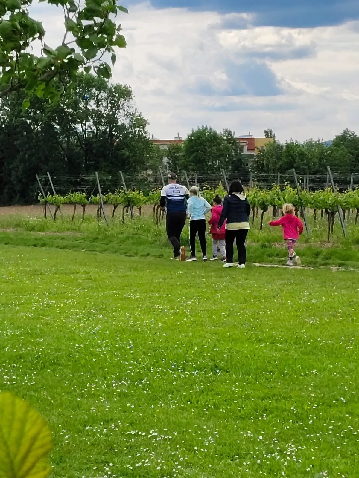 Alphalauf KIDS